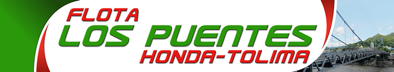 Flota Los Puentes